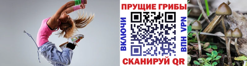 Галлюциногенные грибы мухоморы Каменка