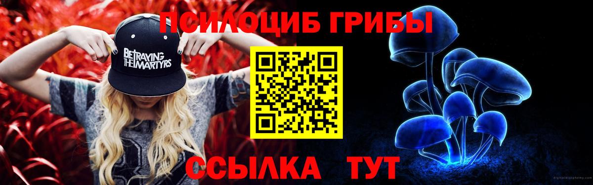 Галлюциногенные грибы Cubensis  Вход с VPN  Каменка 